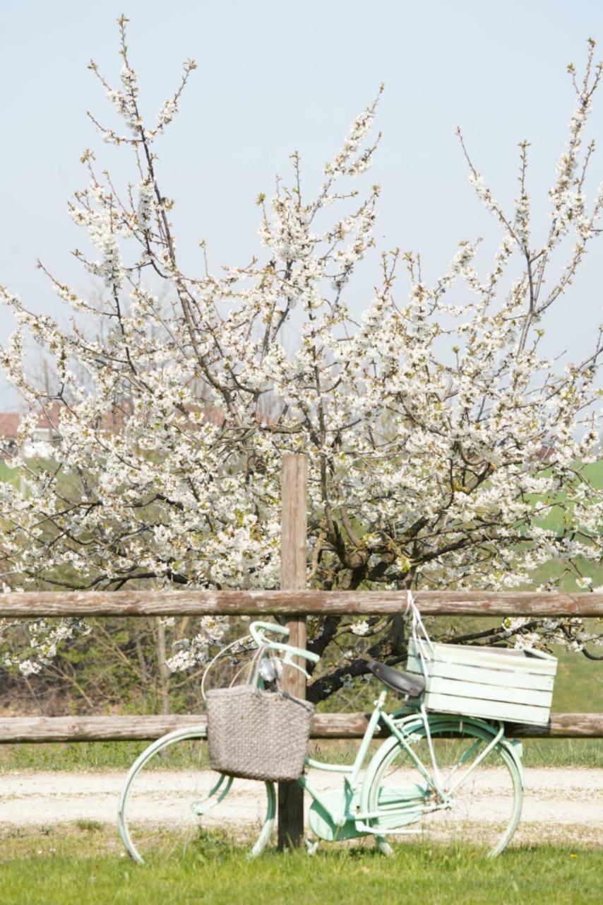 Cascina Papa Mora Villa Cellarengo Kültér fotó